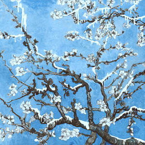 欧美高清色情电影黑白配HD播放
